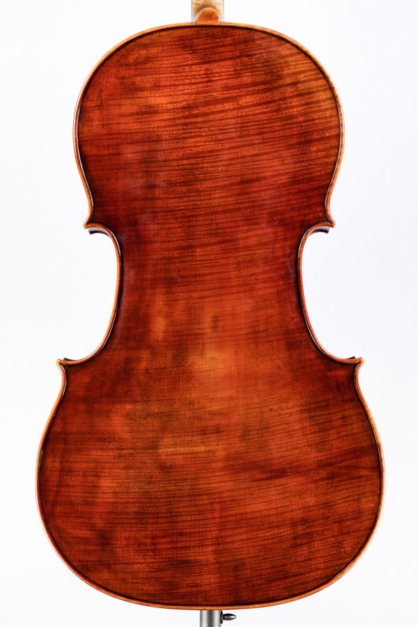 Cello Violoncello Cesare Cipriani Boden