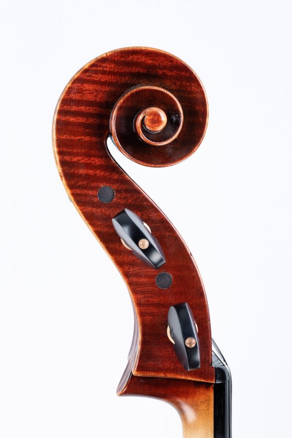 Cello Violoncello Cesare Cipriani Schnecke