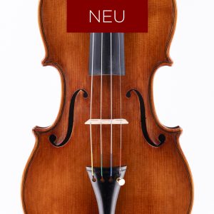 Violine Allessandro Ciciliati Decke NEU