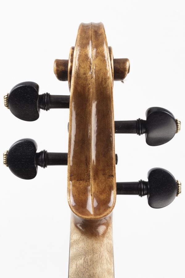 Violine, geige, Gabriele Natali, Pistoia 2025, Schnecke