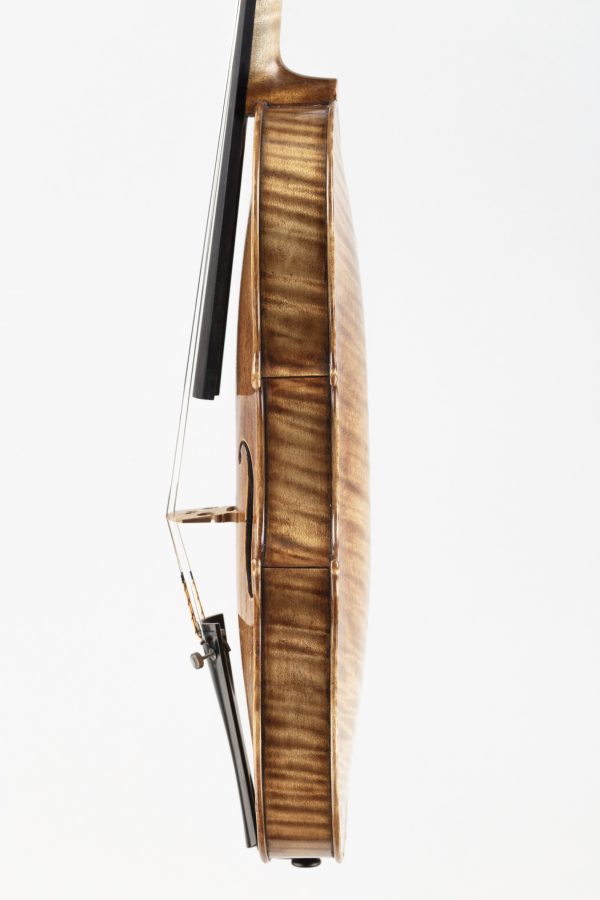 Violine, geige, Gabriele Natali, Pistoia 2025, Zargen