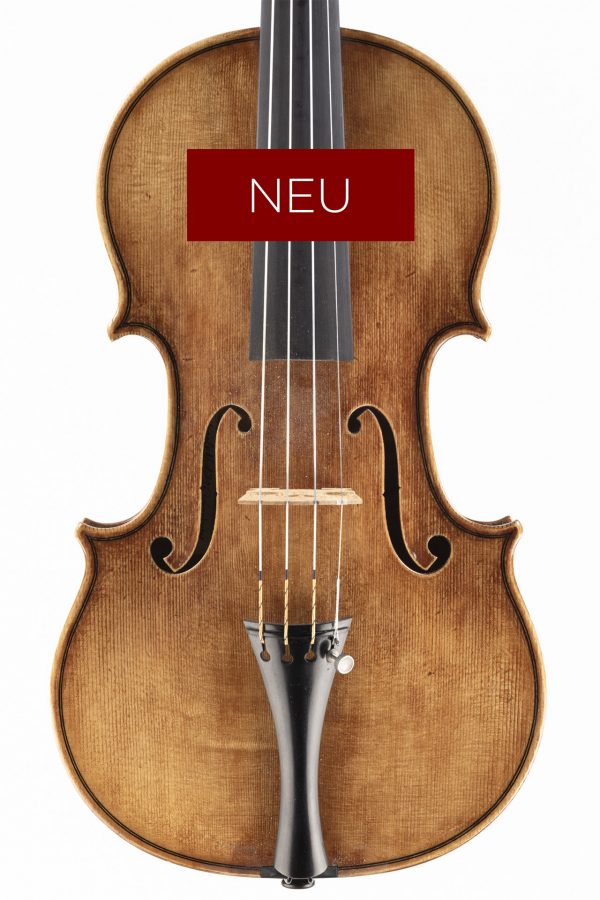 Violine, geige, Gabriele Natali, Pistoia 2025, Decke NEU