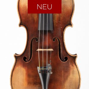 Violine, Geige, Gand & Bernadel, Paris, 1877, Decke, NEU